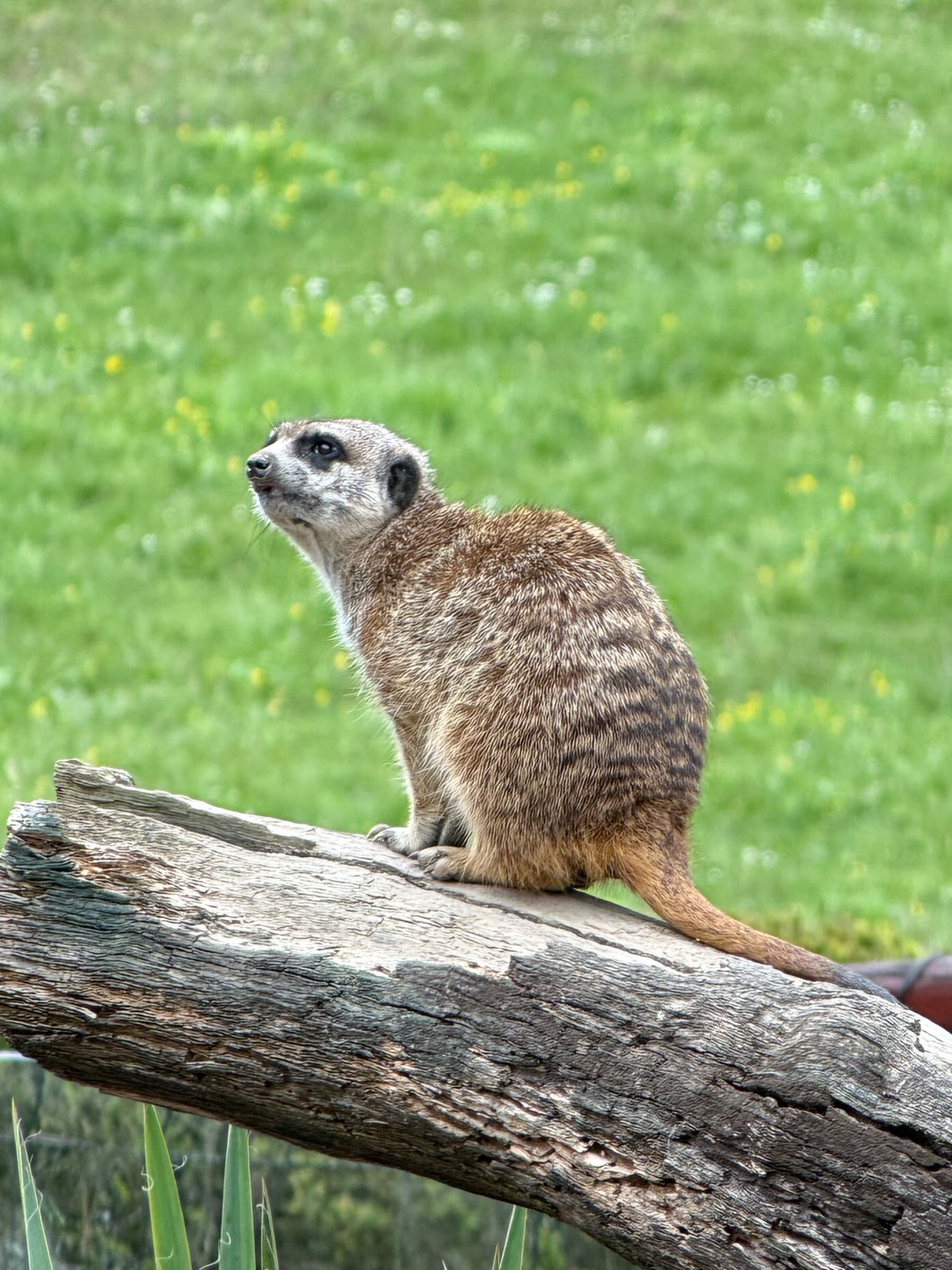 IMG_0621_Original